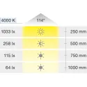 Šviestuvas LED2032 12V 3W L300 mat.chromas NW 40K