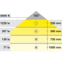 Šviestuvas LED2033 12V 3.8W juoda/chromas NW