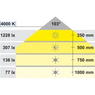 Šviestuvas LED2033 12V 3.8W juoda/chromas NW