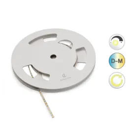 Juosta HE6B D-MWE L10m 24V 9,6W/m D-M  DL