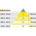 Šviestuvas LED1154 12V 3W WW 27K plienas