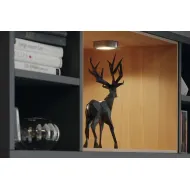 Šviestuvas LED2047 12V 3W juoda WW 30K