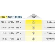 Šviestuvas LED2047 12V 3W juoda WW 30K