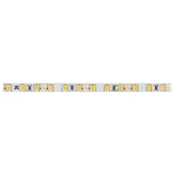 LED strip light, Häfele Loox5 LED 2061 12V 5mm 2-pin (monochrome), 120 LEDs/m, 9.6W/m, IP20