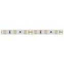 Juosta LED2062 Loox5, L5000mm, 8mm, 12V, 4,8W/m, natūrali balta šviesa 4000K