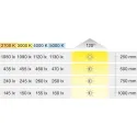Juosta LED2062 L5000x8 12V 4.8W/m SWW 27K Loox5