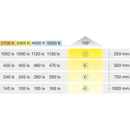 Juosta LED2062 L5000x8 12V 4.8W/m SWW 27K Loox5