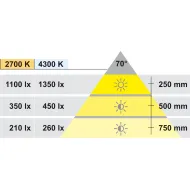 Šviestuvas LED1111 12V 3W NW 43K chromas