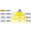 Recess/surface mounted downlight, LED 1111 12V drill hole Ø58mm plastic