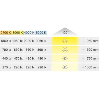 Juosta LED3041 Loox5, L5000mm, 5mm, 24V 9,6W/m natūrali balta šviesa 4000K