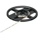 LED strip light, Häfele Loox5 LED 3041 24V 5mm 2-pin (monochrome), 120 LEDs/m, 9.6W/m, IP20