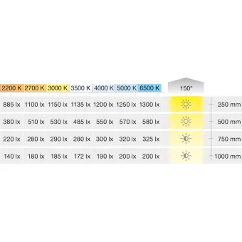 COB LED strip light LED3104 Loox5, 24V, 8mm, monochrome, 9.6W/m, natural white 4000K, 5m