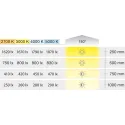 Juosta COB LED3105 Loox5, 24V, 8mm, monochromatinė, 14,4W/m, šilta balta šviesa 3000K, 5m
