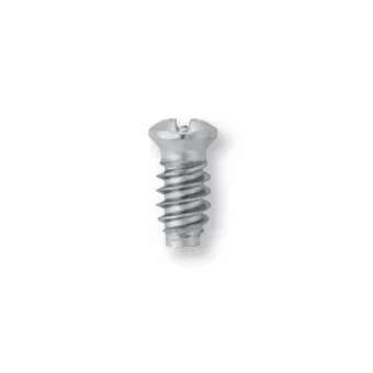 Euros crew for hinge, for Ø5mm drill holes, 6,3x12mm, pan head