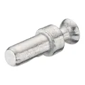Varžtas RAFIX be sriegio Ø5x20mm,