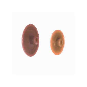 Cover cap for confirmat Ø12mm pine