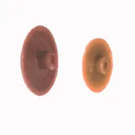Dangtelis konfirmato D12 raudonmedis