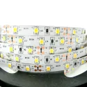 Strip LED2835 L5000mm 12V 6W/m warm white 3000K