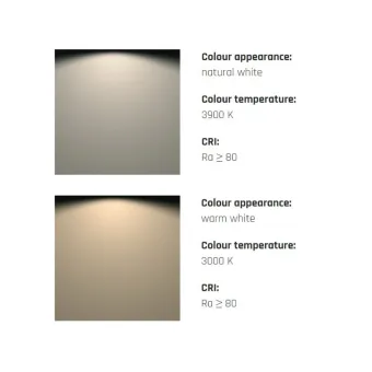 LED luminaire LINEO for under cabinet 24V/5W black natural white 3900K