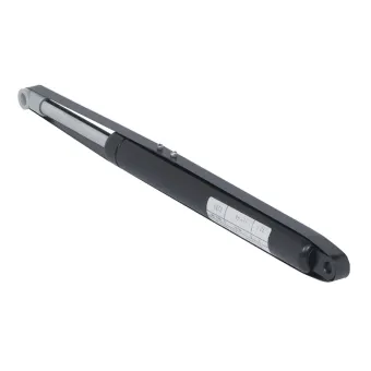 Gas-filled strut, for Bettlift foldaway bed fitting for end mounting