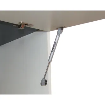 Gas-filled strut, for wooden flaps or flaps with aluminium frame