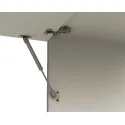 Gas-filled strut, for wooden flaps or flaps with aluminium frame