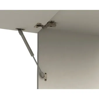 Gas-filled strut, for wooden flaps or flaps with aluminium frame