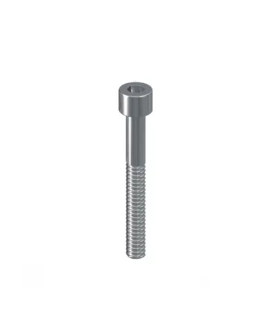 Screw M5x35mm with cylindrical head for universal connection CUBE