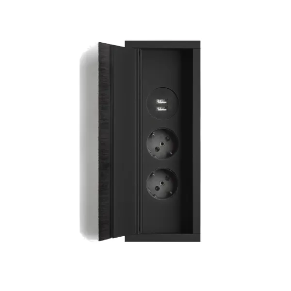 Power distributing unit 3002 2xSchuko, double USB charger, matte black, cable L2000mm