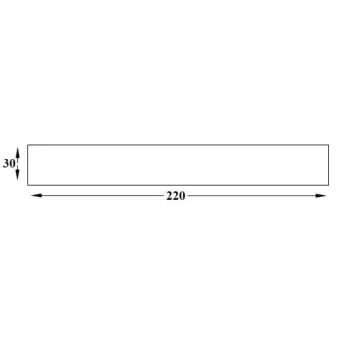 Magnetic strip 30x220mm