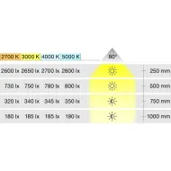 Šviestuvas LED2025 12V 3.8W CW 50K