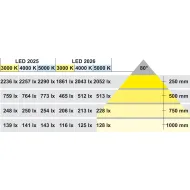 Šviestuvas LED2025 12V 3.8W NW 40K