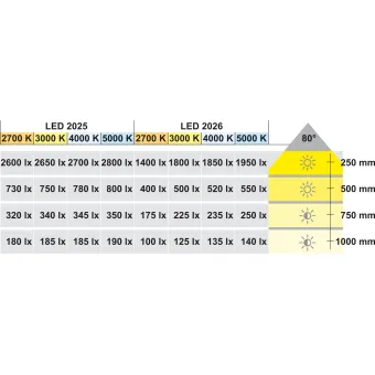 Šviestuvas LED2025 12V 3,8W natūrali balta šviesa 4000K