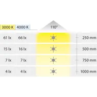 Šviestuvas LED3101 24V 0.3W NW 40K Loox5