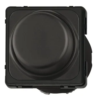 Switch, With 2-core cable