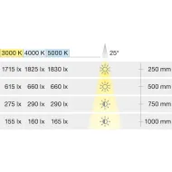 Šviestuvas LED3097 24V 1.4W  juoda 50K Loox5 HAFELE