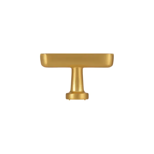 Handle CC48mm matt polished gold 