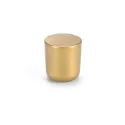 Knob Ø25mm MINI matt gold