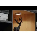 Šviestuvas LED2047 12V 3W juoda WW 30K Loox5