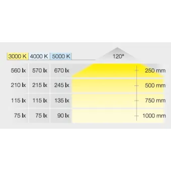 Šviestuvas LED2047, 12V, 3W, natūrali balta šviesa 4000K, matinis chromas, Loox5