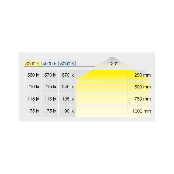 Šviestuvas LED2047 12V 3W mat.chromas NW 40K Loox5
