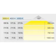 Šviestuvas LED2047 12V 3W ner.plienas WW 30K Loox5
