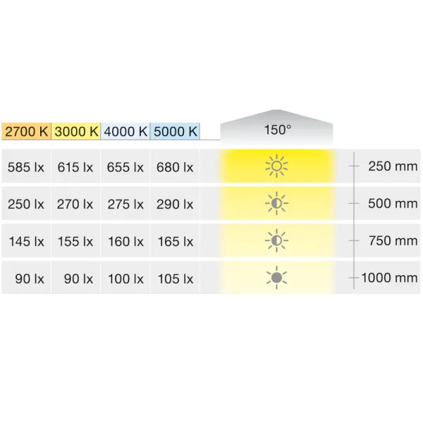 COB LED strip light LED3103 Loox5, 24V, 8mm, monochrome, 4.8W/m, cool white 5000K, 5m