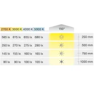 Juosta COB LED3103 L5000x8 24V 4.8W/m SWW 27K Loox5
