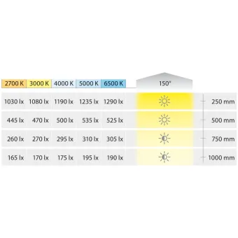 COB LED strip light LED3104 Loox5, 24V, 8mm, monochrome, 9.6W/m, cool white 5000K, 5m