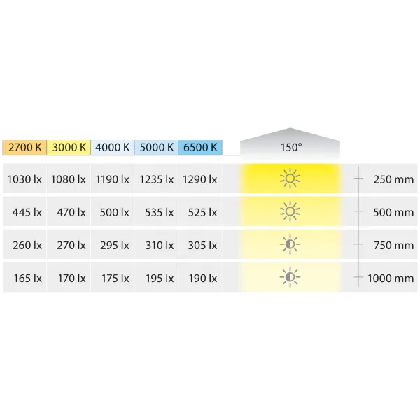 COB LED strip light LED3104 Loox5, 24V, 8mm, monochrome, 9.6W/m, cool white 5000K, 5m