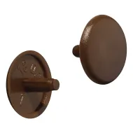 Dangtelis medsreigčio riešutas