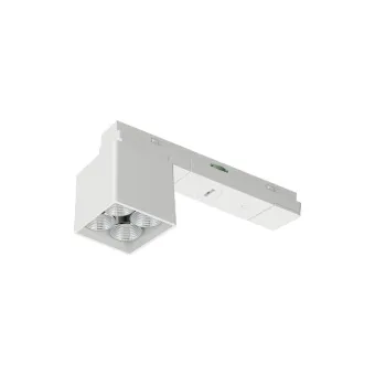 Šviestuvas LED Spot 4 TT OneCable, 40l, 24V, 5W, Multi-White, 2700-5000K, balta