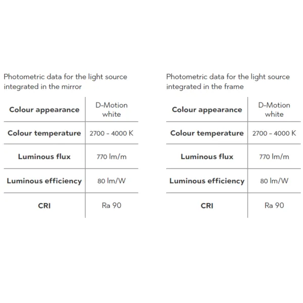 Mirror with LED light IO-D 800x600mm 220V/75W black