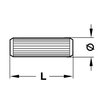 Wooden dowel, beech 5x25mm